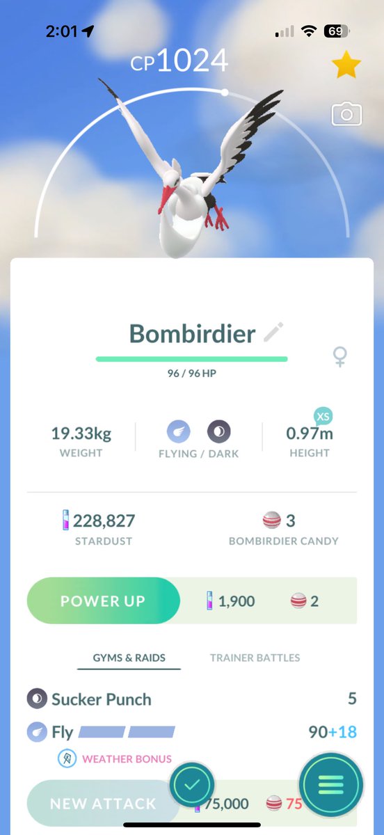 Ghost The Grumpy Aussie tweet media