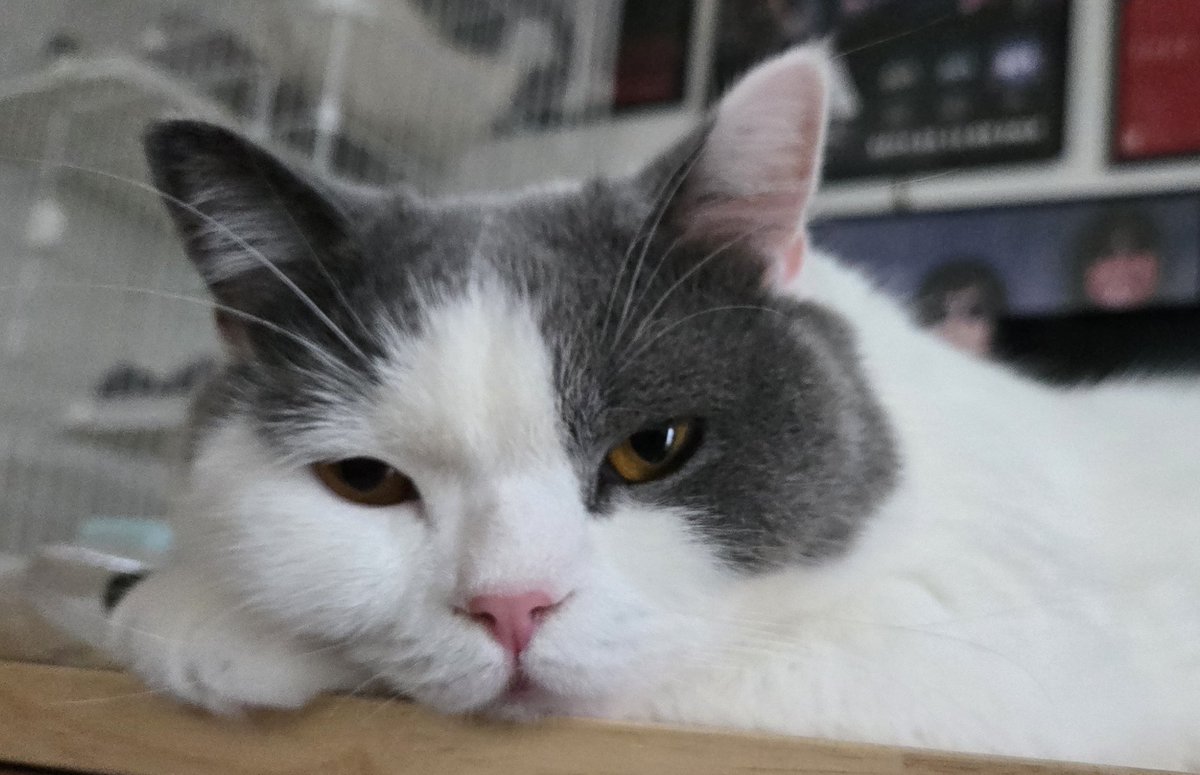 気合い入りすぎる試合の翌日も、しんどい