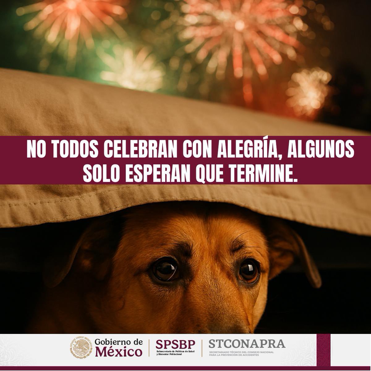🎆🇲🇽 ¡Viva México… con respeto para todos! 🇲🇽🎆 
Mientras celebramos con música, colores y pirotecnia, hay quienes solo esperan que termine. 🐶🐱 

Los estruendos de los fuegos artificiales provocan miedo, ansiedad y hasta daños físicos en nuestras mascotas.

 #SPSBP #coepra