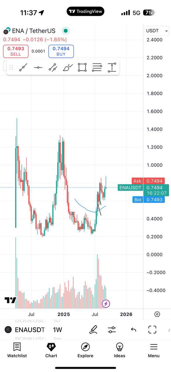 Nikita Anufriev tweet media