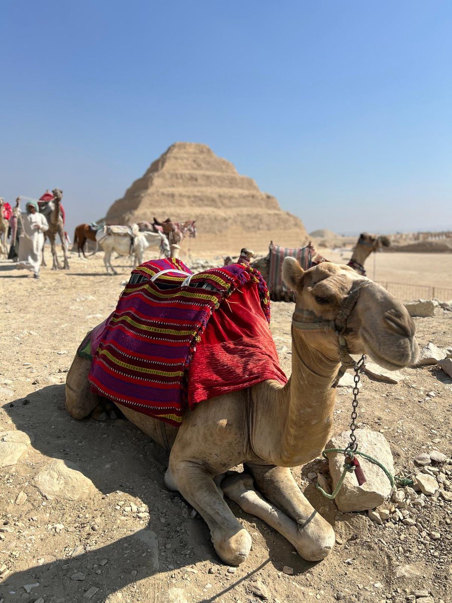 みなさんおはようございます
日本はお昼頃ですね

写真はサッカラの階段ピラミッドとラクダです🐪今日も元気に頑張りましょう❗️
