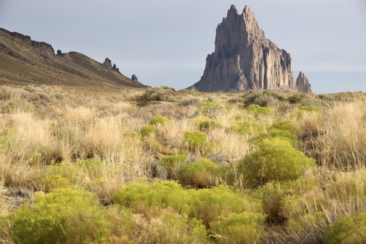 Josh Lien / Fine Art Photographer tweet media