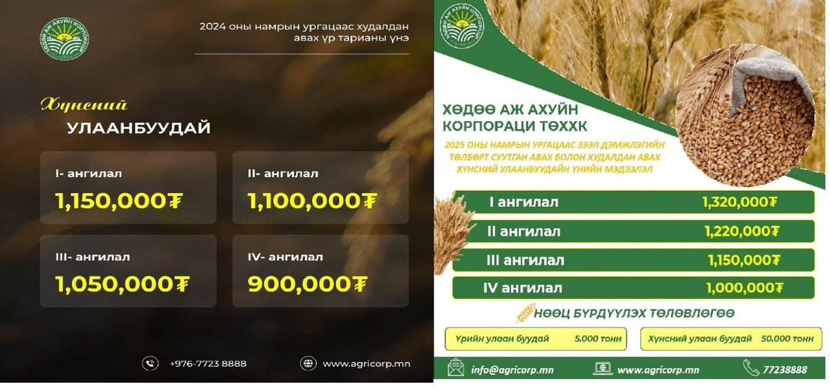 Гурилын үнэ өндөр байдаг гол шалтгаан бол ЗЗ-д төрийн оролцооноос үүддэг гажуудал. Төр улаан буудайн үнийг өндөр тогтоож төсвийн хөрөнгөөр худалдан авдаг. Энэ жил өмнөх жилээс буудайн үнэ 10-15% өсөх нь гурилын үнийг нэмэгдүүлэх нь гарцаагүй. Нэмж бас хөнгөлөлттэй зээл тараана.