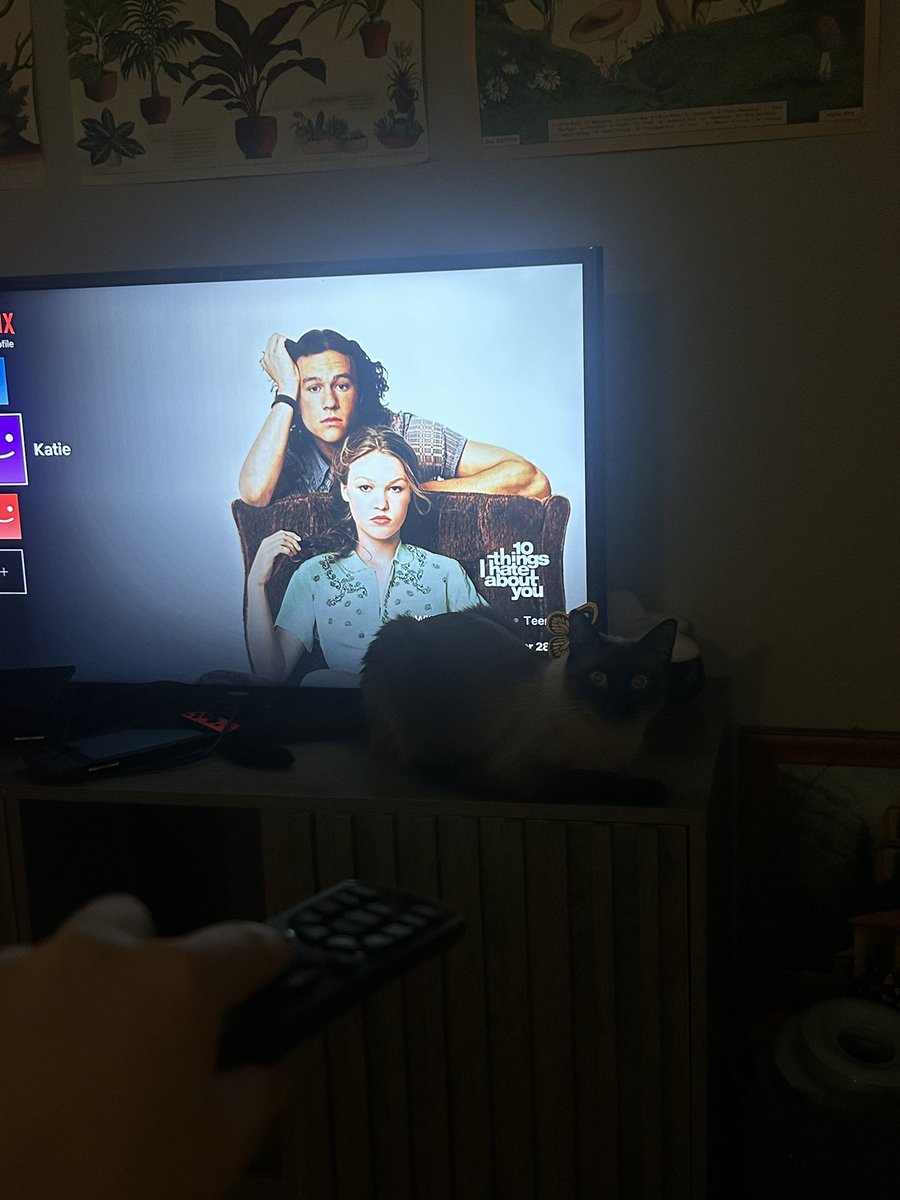 katie tweet media
