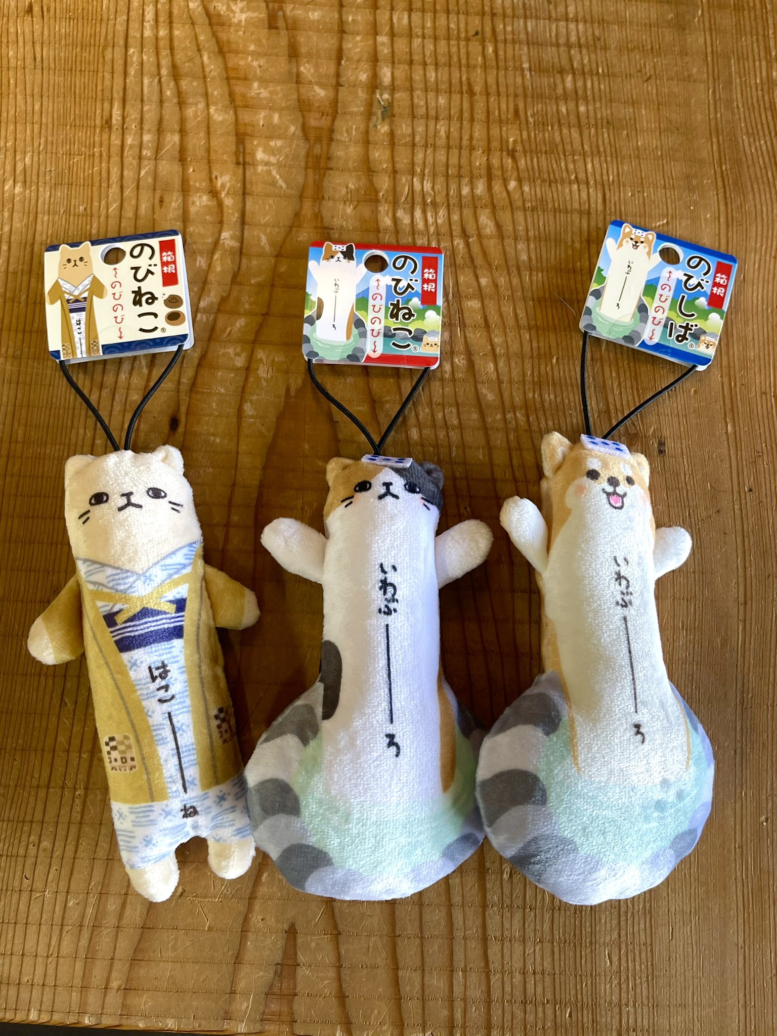 のびねこ - Search / X