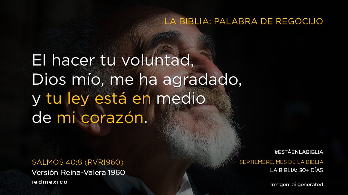 Mario Grullon Damian tweet media