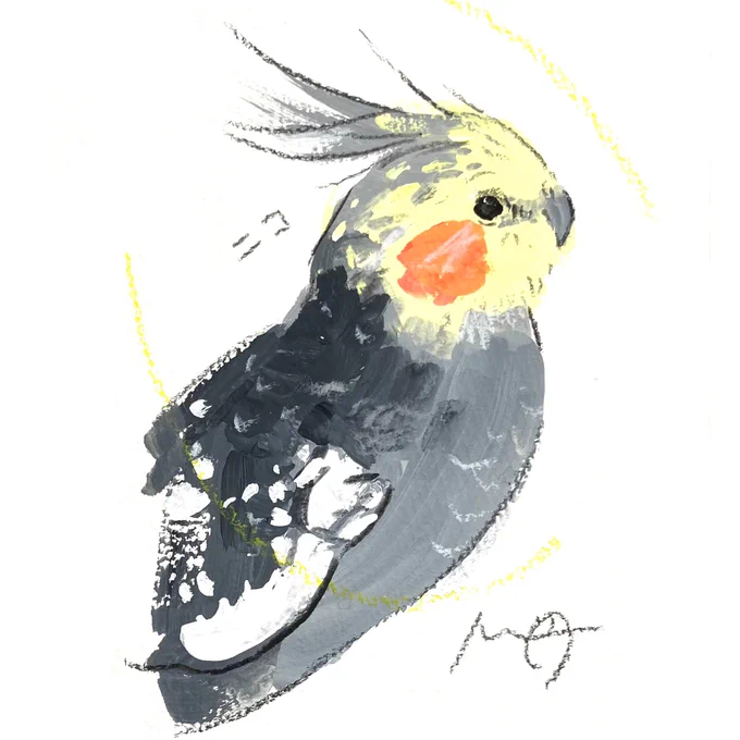 ご紹介できてなかった #小鳥のアートフェスタ in 横浜 オーダーイラスト、 かわいい横顔のオカメインコさんです