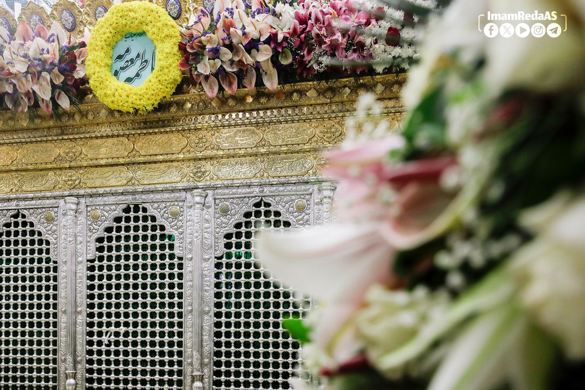 🌱#بسمة_الصباح 
🌻 السلام عليكِ يا بنت رسول الله، السلام عليك يا بنت فاطمة وخديجة، السلام عليك يا بنت أمير المؤمنين، السلام عليك يا بنت الحسن والحسين، السلام عليك يا بنت ولي الله، السلام عليك يا أخت ولي الله، السلام عليك يا عمة ولي الله، السلام عليك يا بنت موسى بن جعفر ورحمة الله