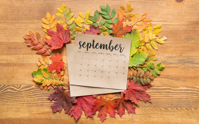 ePlatform Digital Libraries (UK) tweet media