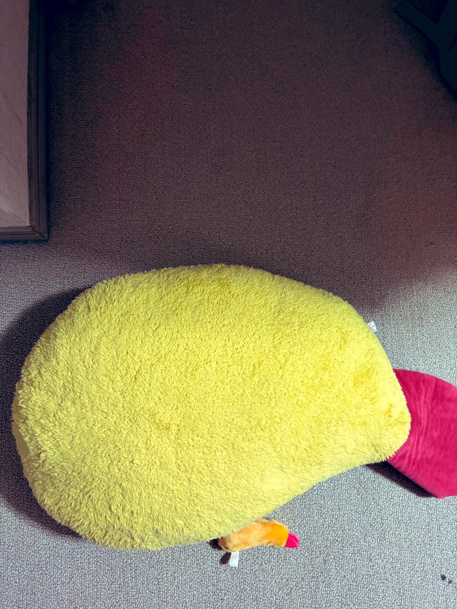 まなみぃ〜ん✈️ tweet media
