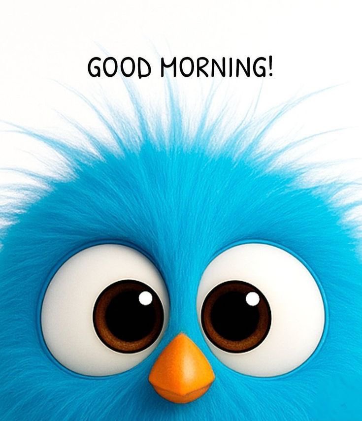 RosieLe60545528's tweet photo. Good Morning #TwitterFriends well at least today isn’t Monday have a good day everyone #HappyPosting ❤️💋😉 https://t.co/kzQKTAq13a