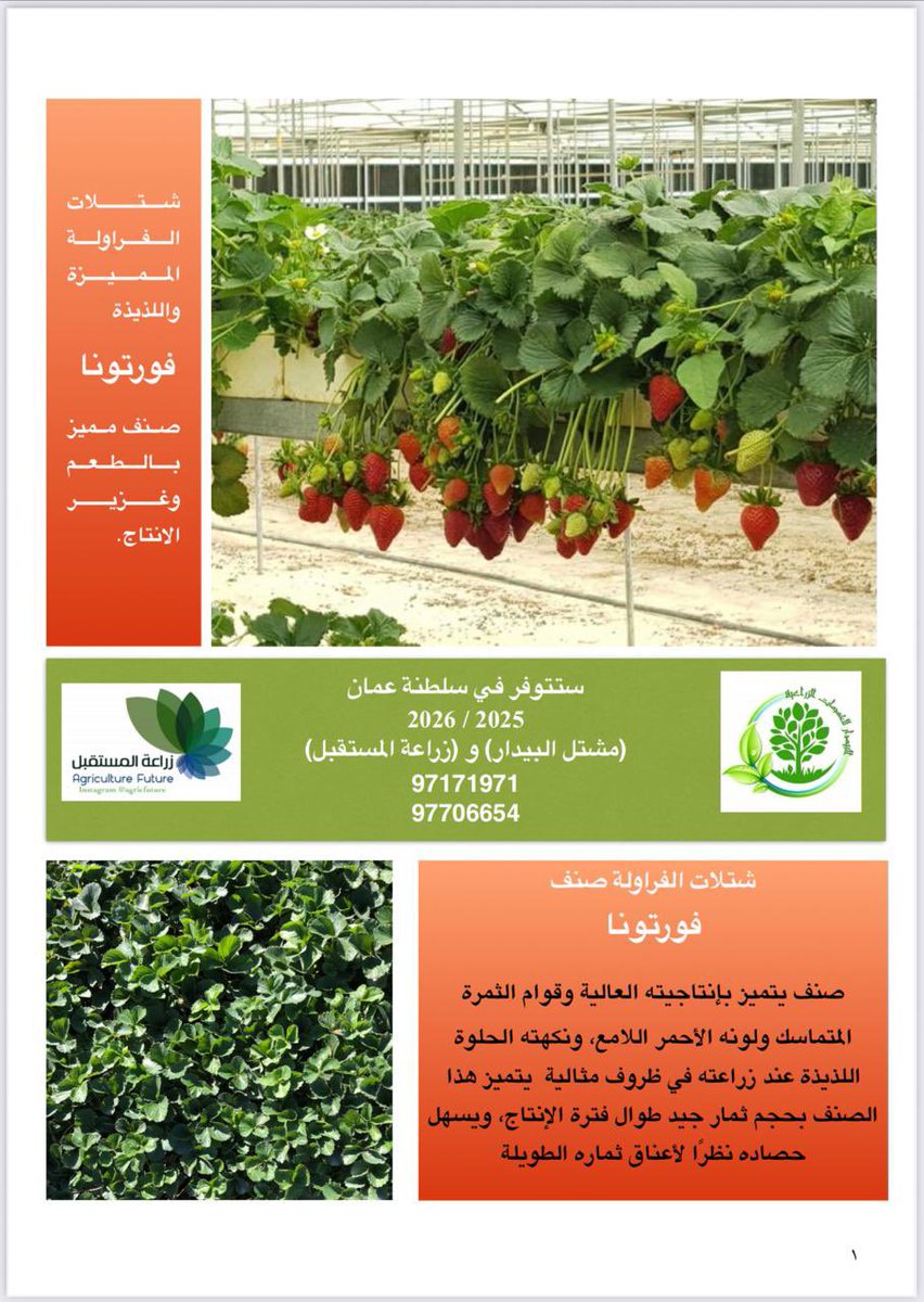 البيدار للخدمات الزراعه tweet media