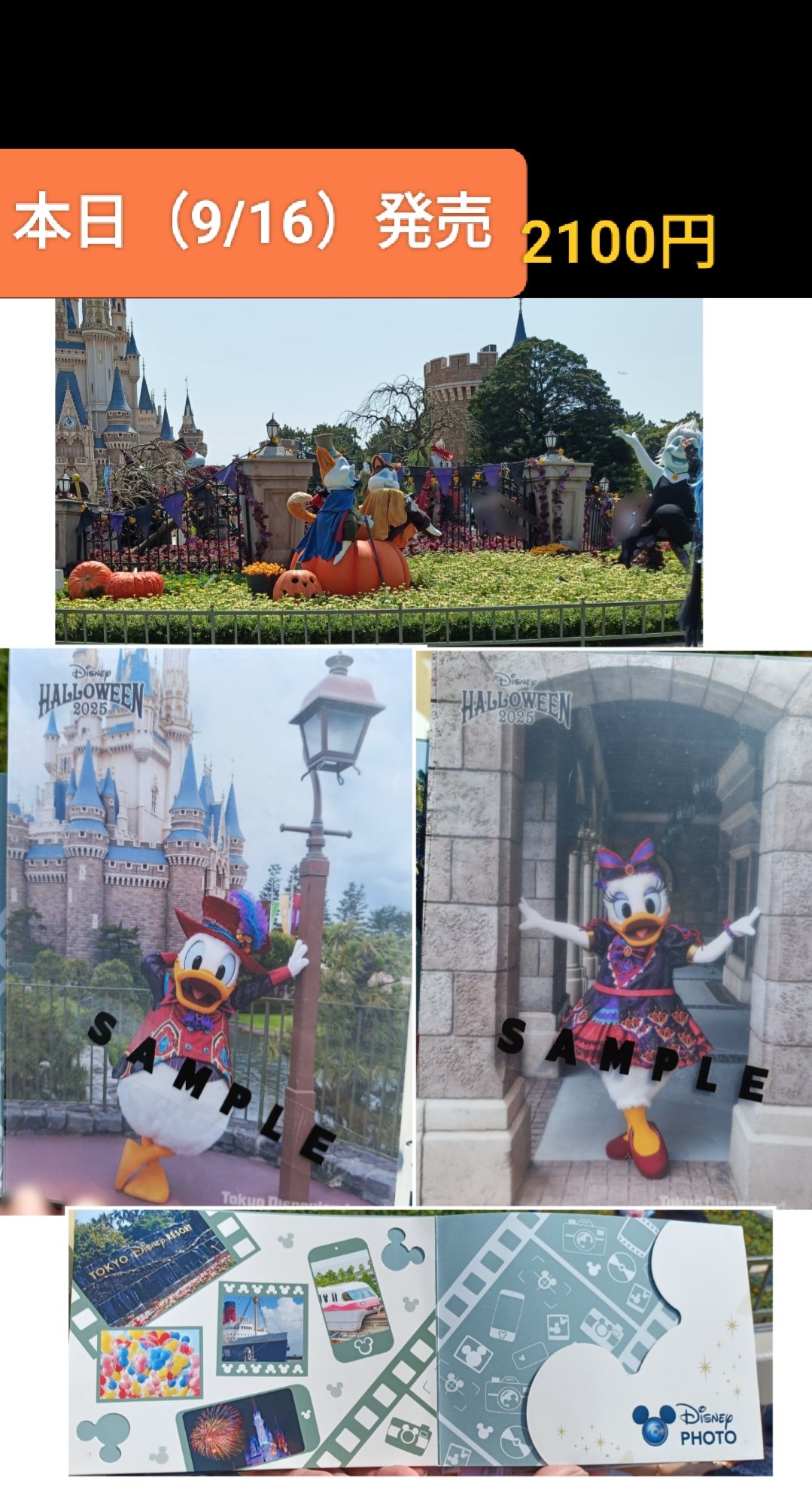 ディズニー多め まとめ売り ディズニー/マツモトセイジ ミッキー ミニー ドナルド チップ