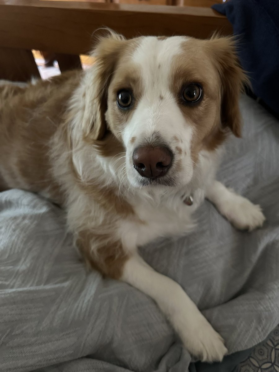 Jo ☕️💫🌻 tweet media