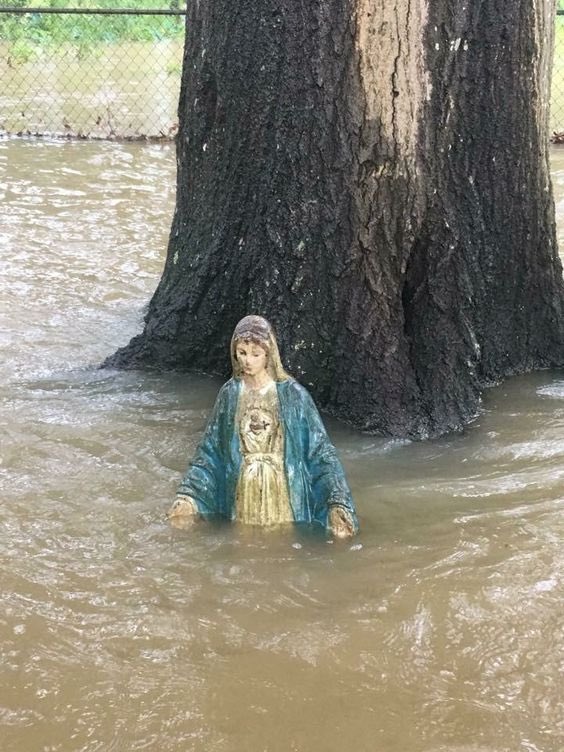 Meeting of silence !

Every season serves its purpose!

#thicktrunktuesday