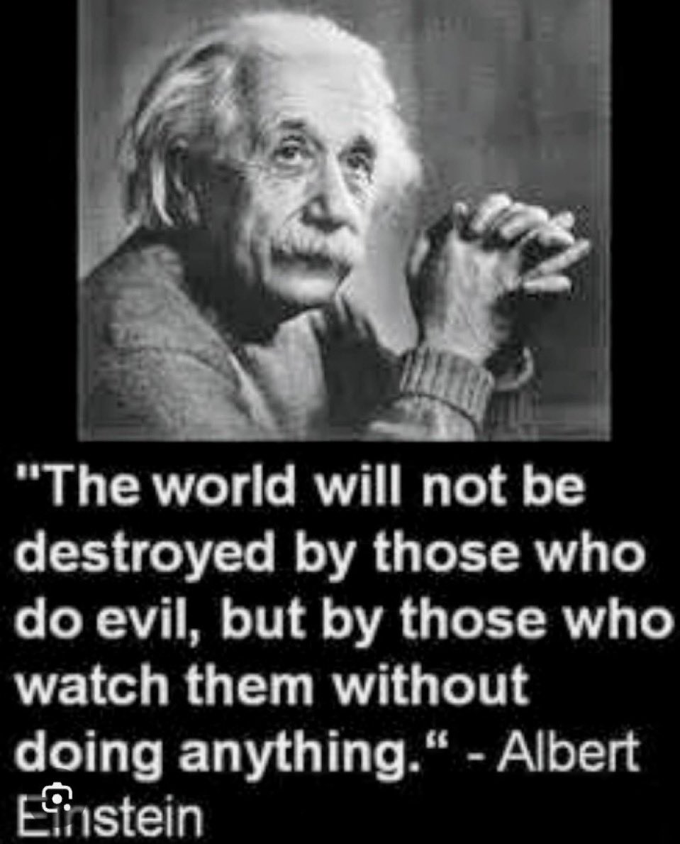 GnosisWolf's tweet photo. When good men do nothing….

Bring back the society that allows good men to protect the herd. 💪🙏 https://t.co/Jqdj6E3DwY