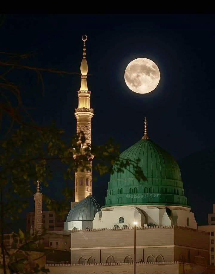 #صورة_اليوم

المسجد النبوي الشريف 

#المدينه_المنورة