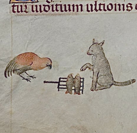 MedMilMedicine's tweet image. “You’ve made a rookie error there mate. Always do them skin side down.”   -   15th century, Kraków, MNK 3025 I, p. 460