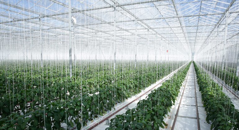 EnergyJrg's tweet photo. #Geothermal energy isn’t just for power—it’s shaping the future of food:
🍅 Greenhouses
🍇 Food Drying
🐟 Aquaculture
🥛 Processing
📌 Meet JRG Energy at the Energy &amp; Efficiency Grower Event📍 Pukekohe, Auckland | 18 Sept 2025

#JRGEnergy #CleanEnergy #GeothermalForFood #VNZI https://t.co/JIFQ1jb1KC