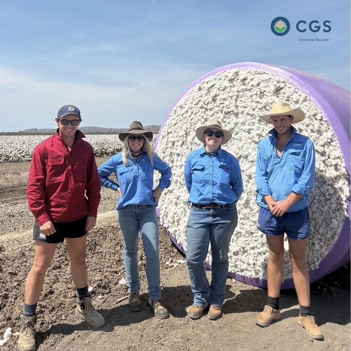 As planting is about to begin in the south, cotton picking in Kununurra is coming to an end. Check out these photos from Matt Langfield’s recent visit up north, taken in a cracking field of cotton with CGS Agronomists Tommy Palmer, Emily Young and local grower Jack Hawkins