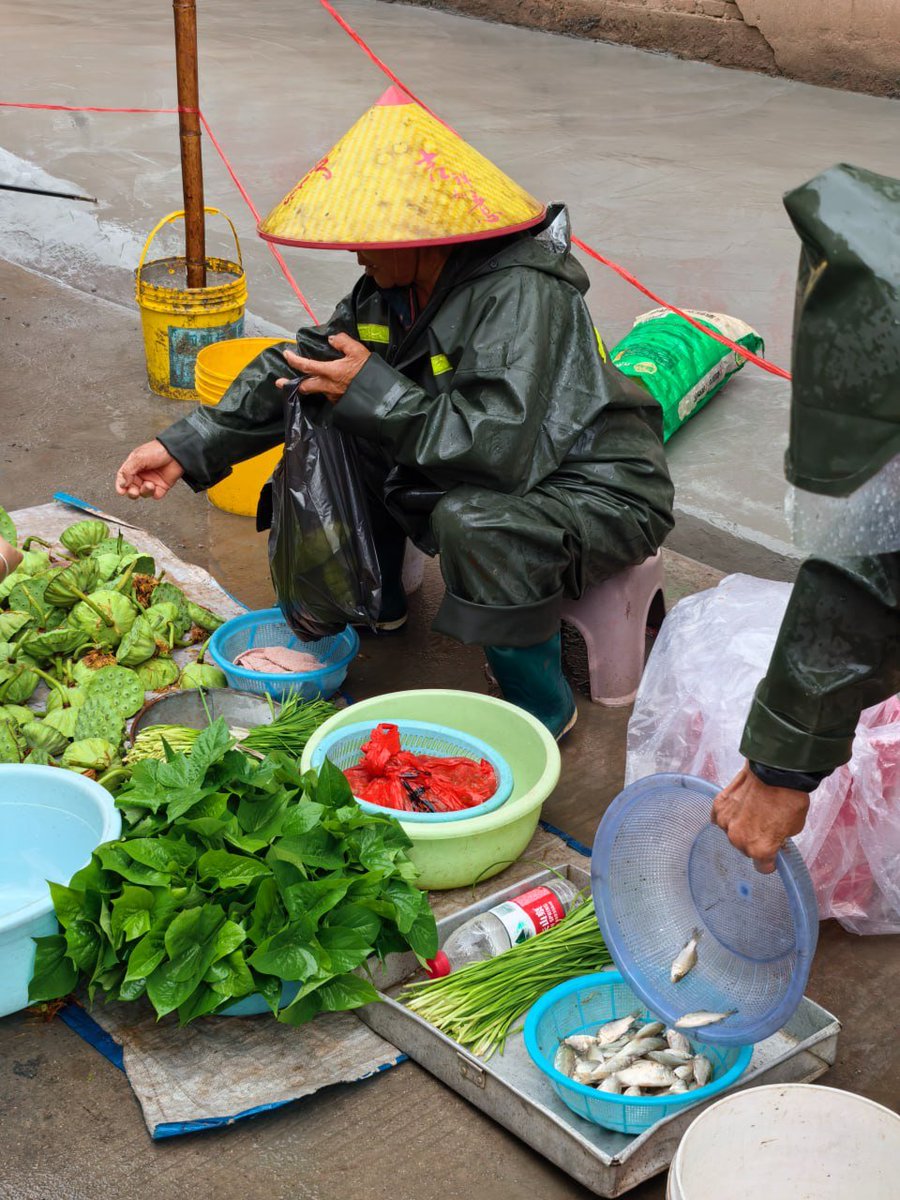 雨上がりの野菜市場を散策すると、空気は土と緑の葉の香りで満たされ、すべての野菜は水滴で覆われています。💦 市場の春と新鮮さをすべてバスケットに詰め込んだかのように、バスケットを持ち、野菜を摘み取ります。🍃