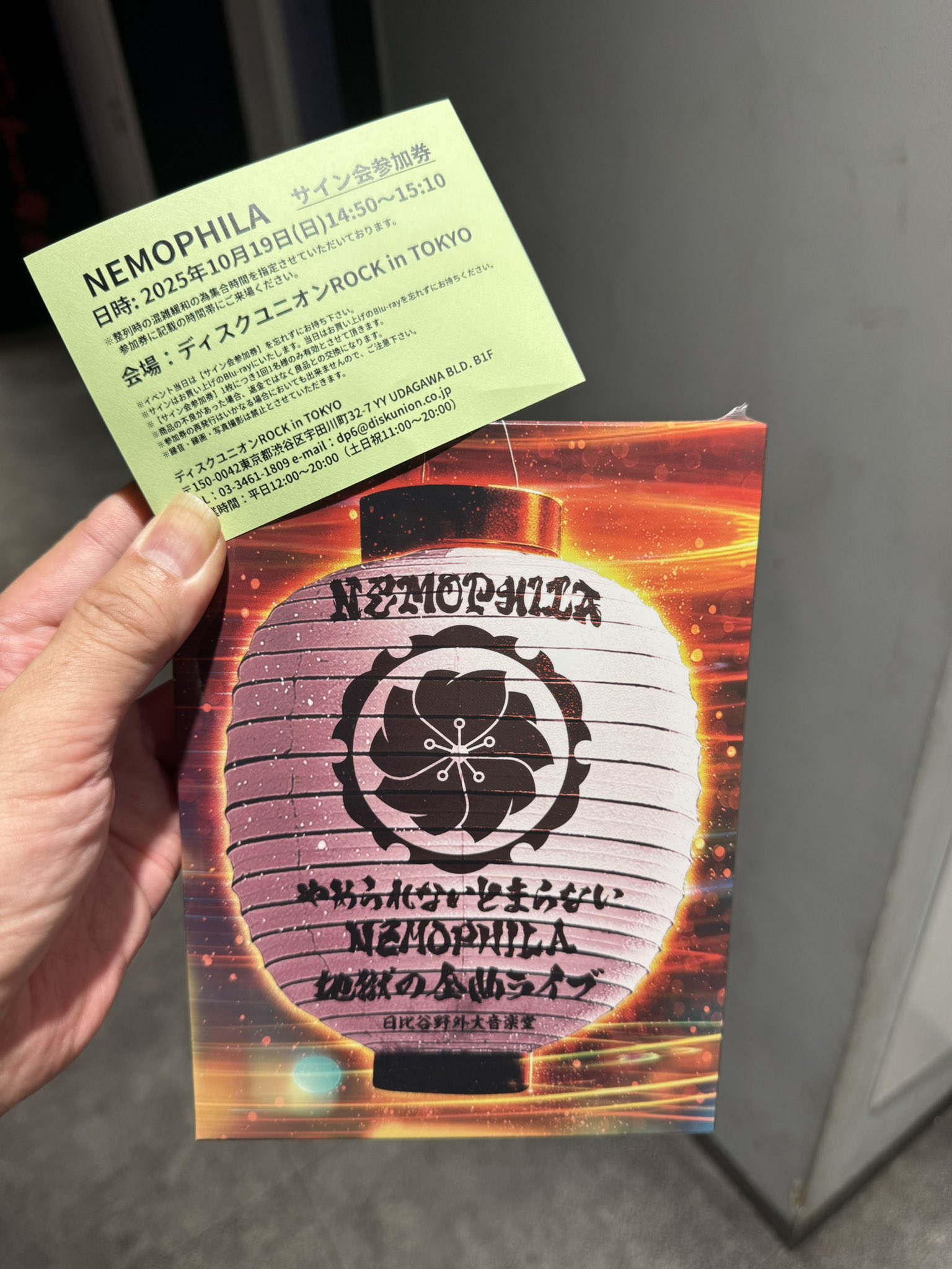 送料込　Nemophila REVIVE 直筆サイン入り　CD 送料込 Nemophila REVIVE 直筆サイン入り CD NEMOPHILA 「REVIVE