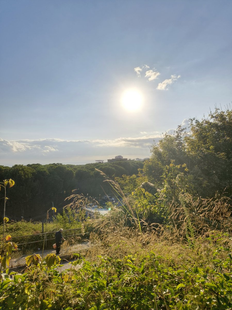 Herkese günaydın. 
Good morning everyone.