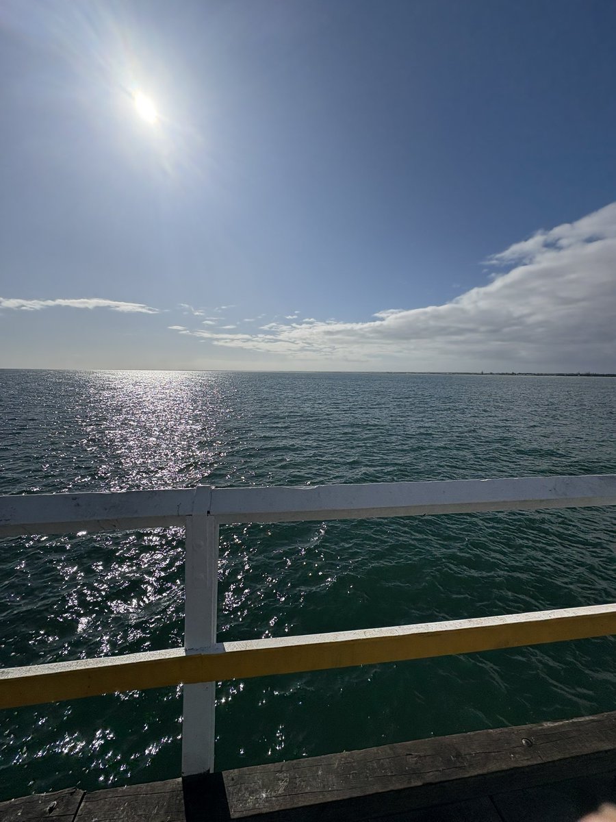 _jacks35's tweet image. Finally some sun in WA🎉