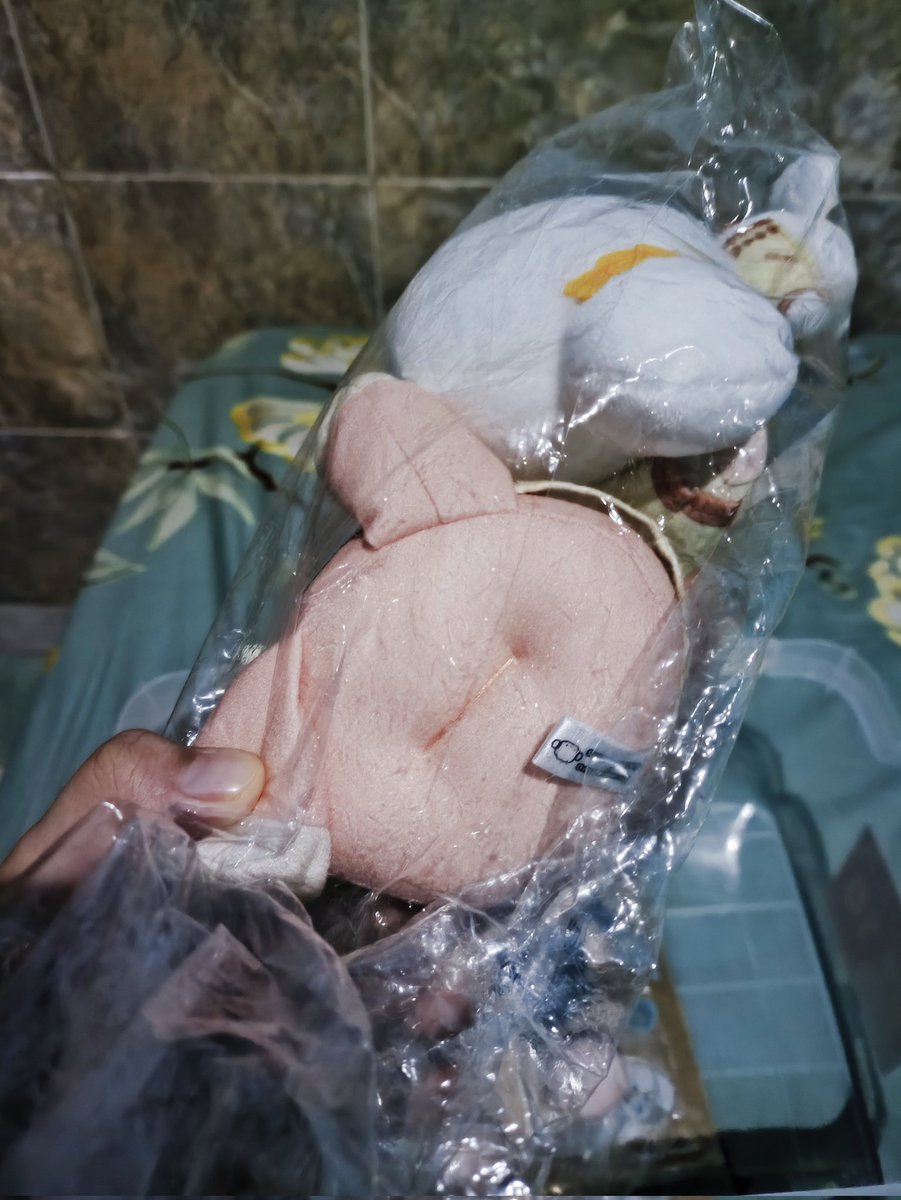 baksomelon's tweet photo. Wts preloved paradox live x san rio plush miyama kei dan komugyun
Ukuran 23 cm 
Harga nett 400 k, agak mahal karena dulu belinya 900 lebih dikit 

https://t.co/a5qJKKLHHF

#warunganime https://t.co/q6bWThAO3r