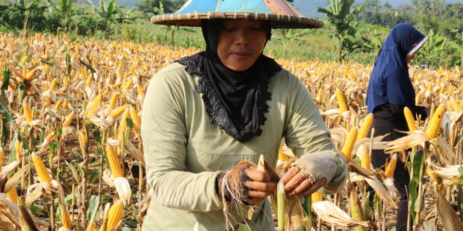 eFeedLink tweet media