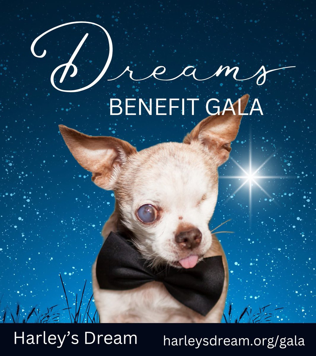 Tickets available now! Join us in supporting Harley's Dream at the Dreams Benefit Gala on Oct 18th (Embassy Suites, Loveland, CO). BRING YOUR DOG!

Order tickets: weblink.donorperfect.com/dreamsgala2025