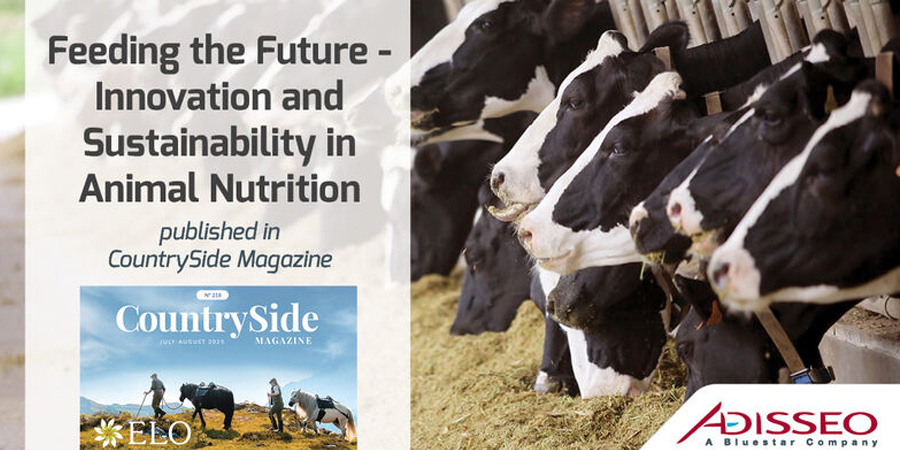 eFeedLink tweet media