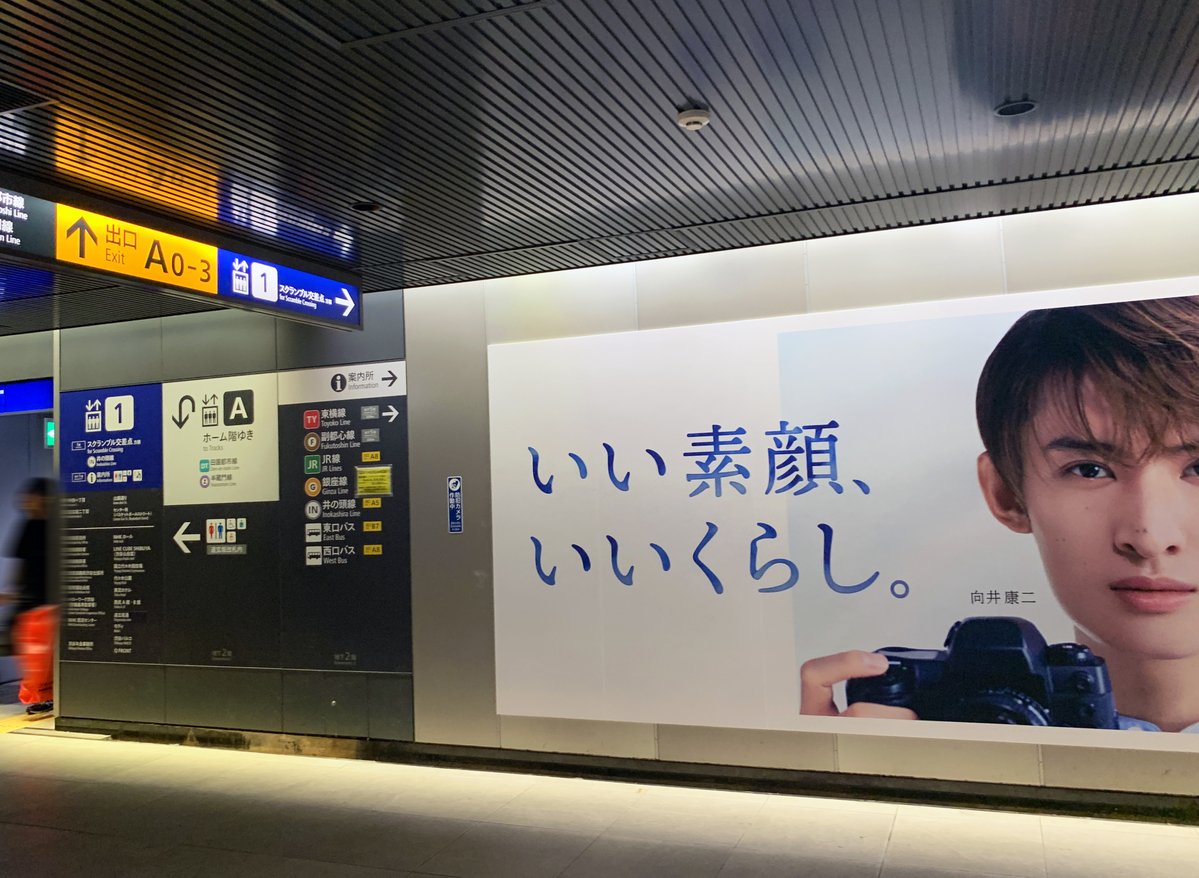 向井康二 さんを起用したちふれの広告を渋谷駅地下通路で発見👀 ちふれ