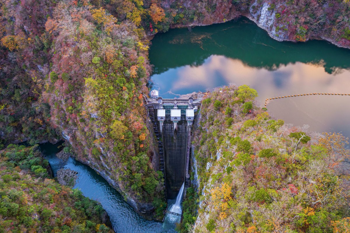 【限定品】ダムカード　中国電力　鳥取/島根/岡山/広島　まとめ売り 限定品】ダムカード 中国電力 鳥取/島根/岡山/広島 まとめ売り