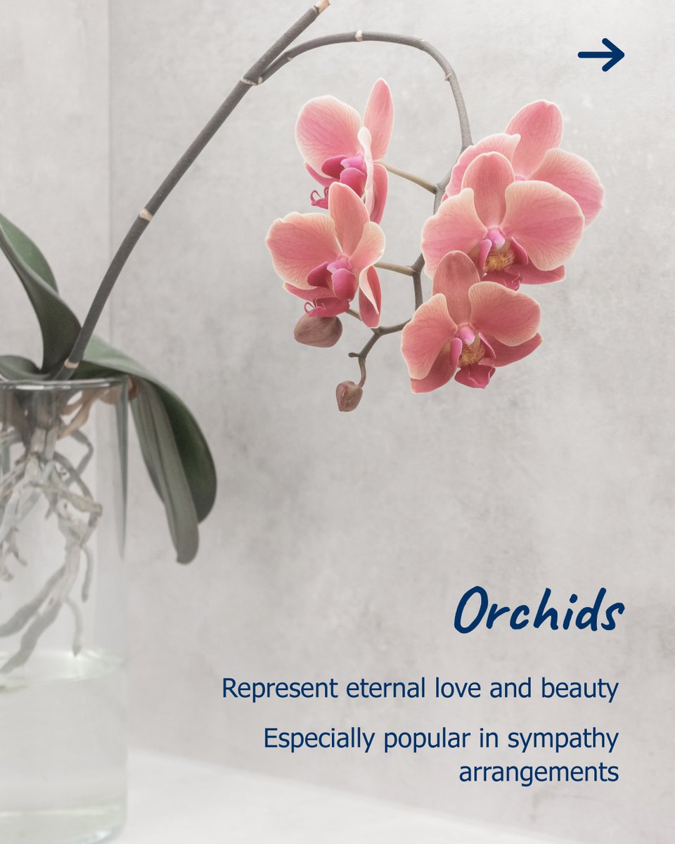 The language of flowers speaks volumes. 

Our floral arrangements carry the sentiment for you. 🌹 

Explore meaningful blooms at our shop to honour and remember: rowlandbrothersshop.com/product-catego…

#MemorialFlowers #FuneralFlowers #RowlandBrothers #FuneralDirector #CroydonFuneralDirectors