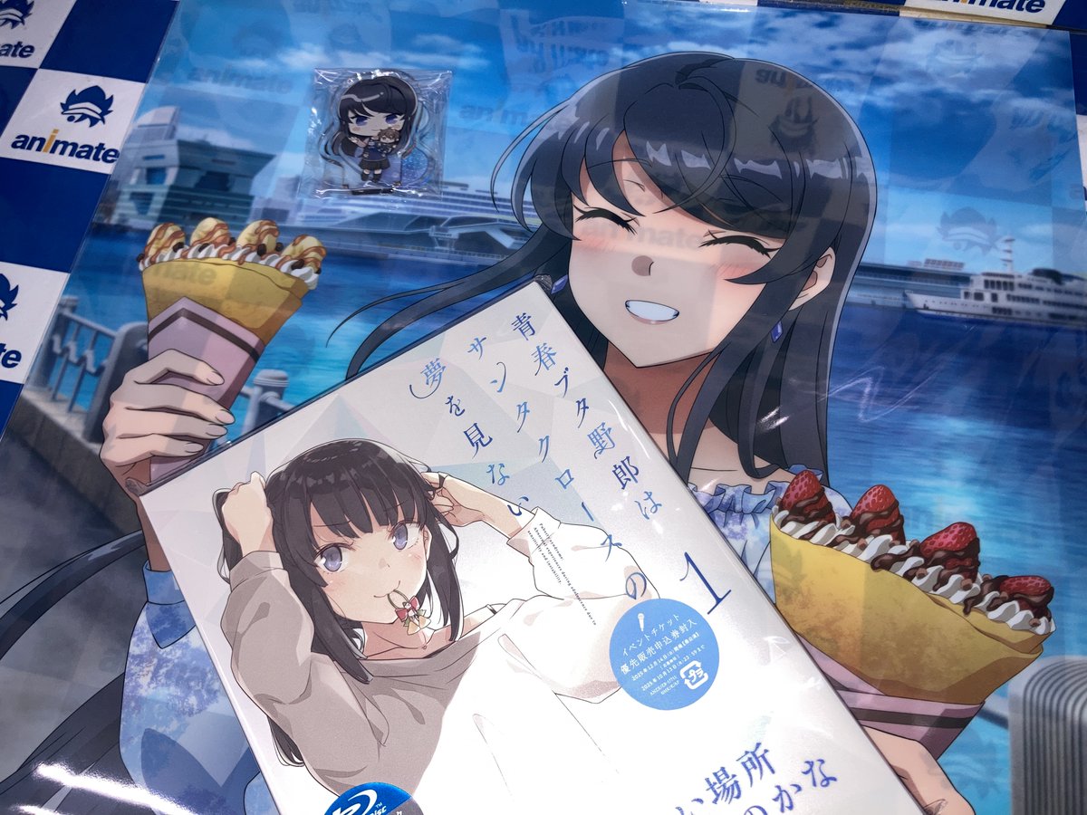 ビジュアル入荷情報③】 📀『青春ブタ野郎はサンタクロースの夢を見