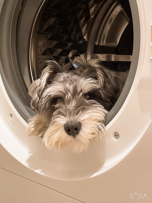 家のどこかにいる愛犬を探す旅に、、、🐕‍🦺 