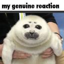 zephyrachordis's tweet photo. ✲ #IRIAMMaintFollowFest !

I totally didn't post late.. but it's nice to meet you!
I'm Zephyra Chordis, who streams on IRIAM US! I'm also a Diva of Nature and Song!

I do karaoke, zatsudans, &amp; love meeting people! 
Will you come listen to my song?

#IRIAMメンテ中のフォロー祭り️ https://t.co/nvcrVCmid7