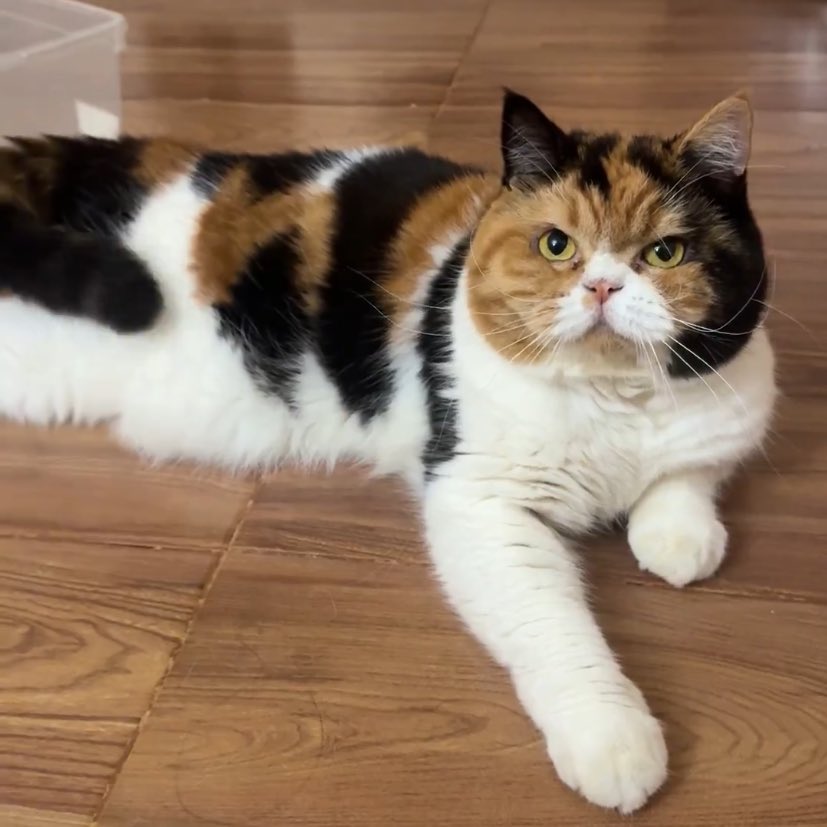 ของทุกอย่างในโลกใบนี้เป็นของชั้น