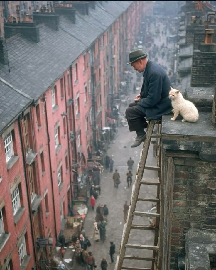 LascioChe's tweet image. 