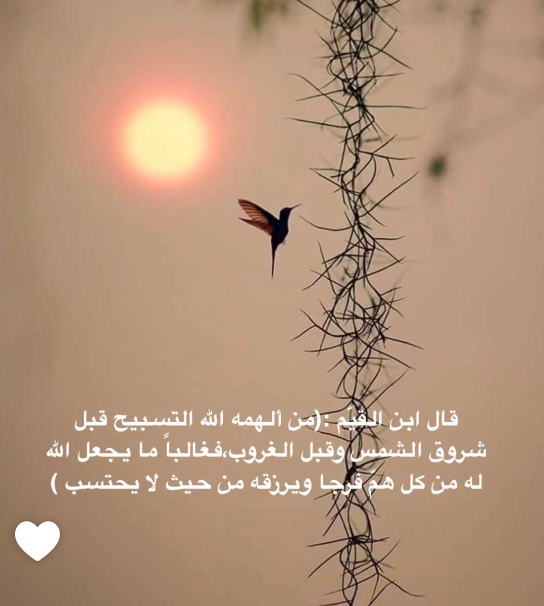 s_f200's tweet photo. سبحان الله وبحمده سبحان الله العظيم https://t.co/Xt4hRL2reE