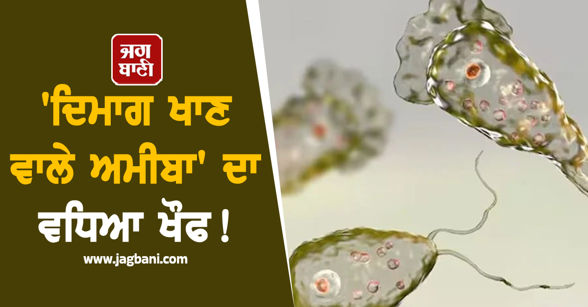 JagbaniOnline's tweet photo. ਕੇਰਲ ਵਿੱਚ ਅਮੀਬਿਕ ਮੈਨਿਨਜੋਏਂਸੇਫਲਾਈਟਿਸ, ਇੱਕ ਦੁਰਲੱਭ ਪਰ ਅਕਸਰ ਘਾਤਕ ਦਿਮਾਗੀ ਲਾਗ, ਦਾ ਇੱਕ ਨਵਾਂ ਮਾਮਲਾ ਸਾਹਮਣੇ ਆਇਆ ਹੈ। ਤਿਰੂਵਨੰਤਪੁਰਮ ਵਿੱਚ ਇੱਕ 17 ਸਾਲਾ ਲੜਕੇ ਵਿੱਚ ਇਸ ਲਾਗ ਦੀ ਪੁਸ਼ਟੀ ਹੋਈ।
#67thcase #brain-eating #amoeba #infection #Kerala https://t.co/9HAMam3273