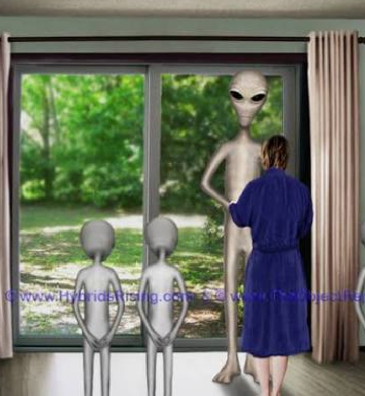 Dusty Bumps (@dusty_bumps) on Twitter photo 