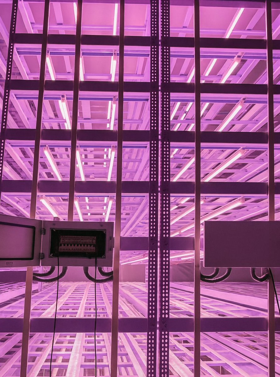 🌟 Nashik Installation 🌟
2.5M banana plants growing strong under Nexsel tissue culture lights! 🌱💡

Now part of our 120M+ plant network. 🚀

#TissueCulture #NexselLighting #SmartFarming