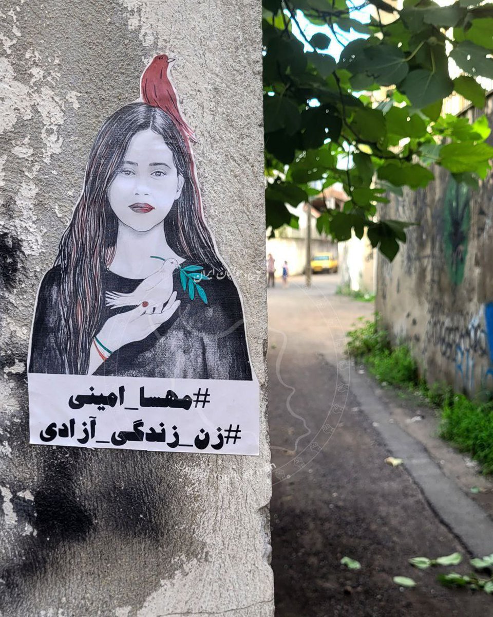 UYI_fa's tweet image. به کوچه‌ها، به هر زبان، نام ژیناست اسم رمز ما...
#مهسا_امینی 
#سالگرد_مهسا
#زن_زندگی_آزادی