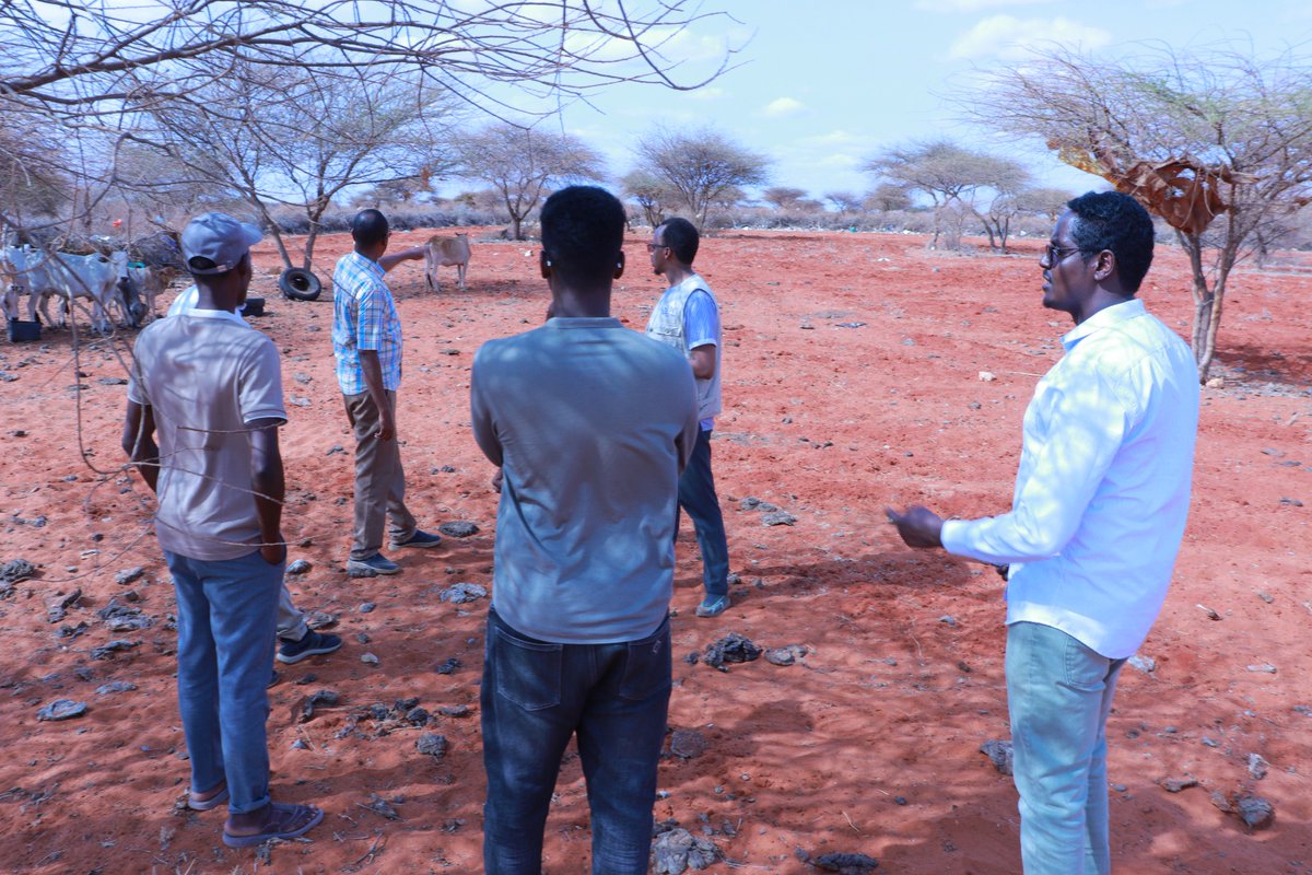 SDCSOM's tweet image. JRP2 Field Update | #Goldogob
@SDCSOM &amp;amp; contracted engineers completed site visits, clearing the way for key works: water storage, fencing &amp;amp; solar systems. 🚜💧
Work is already underway on a reservoir—boosting resilience &amp;amp; sustainable access to resources. 
Stay tuned for more!