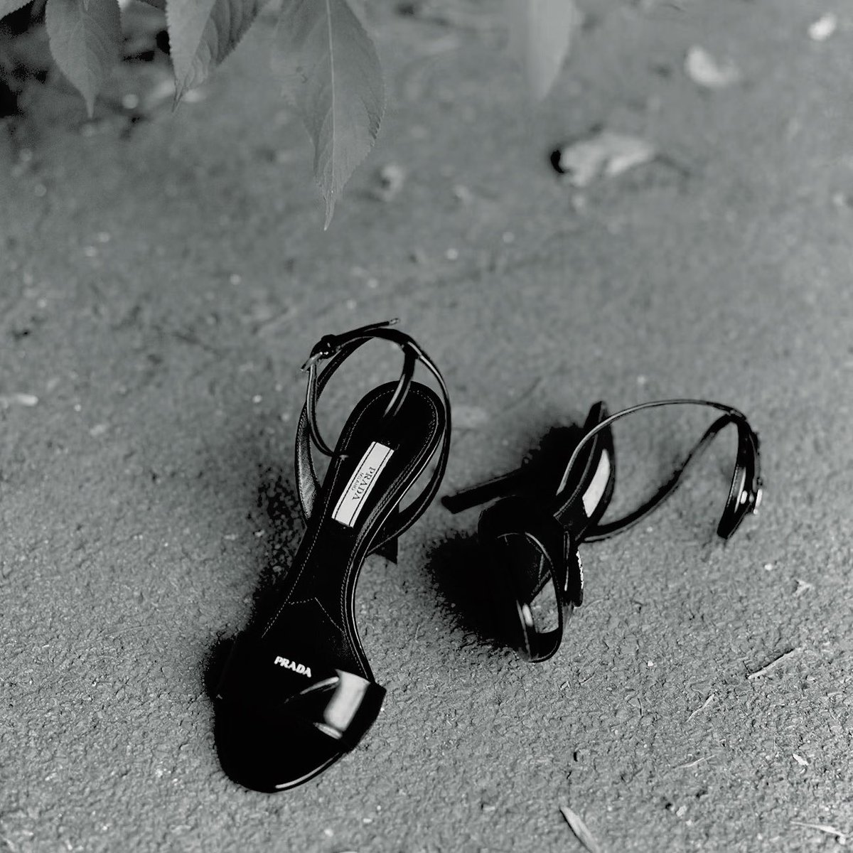 GETLVCKY's tweet image. ⠀⠀ ⠀⠀

                                        𐙚

⠀⠀ ⠀⠀