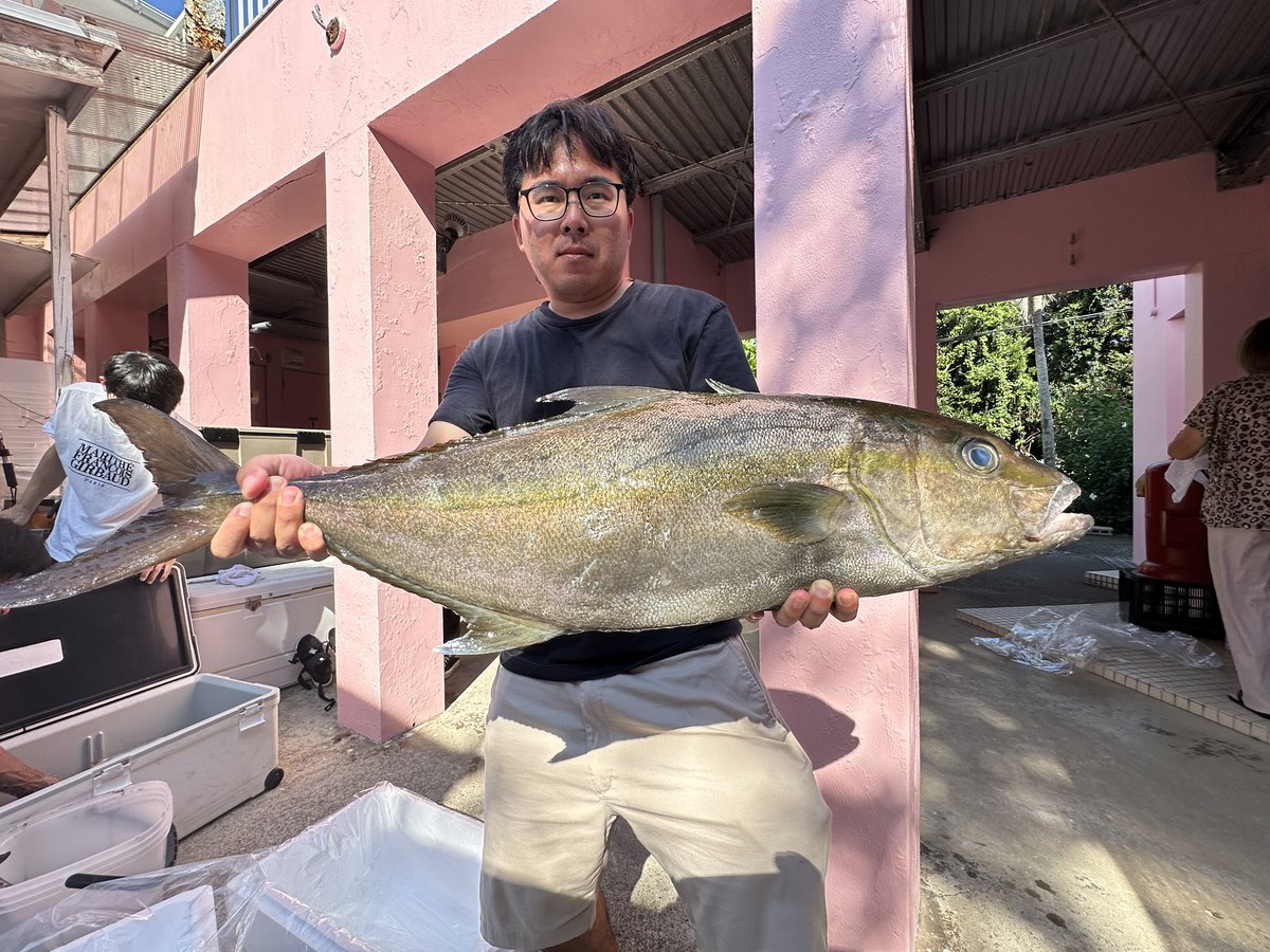 八丈島パパズイン・パパ大津留 (@papa_otsuru) / Posts / X