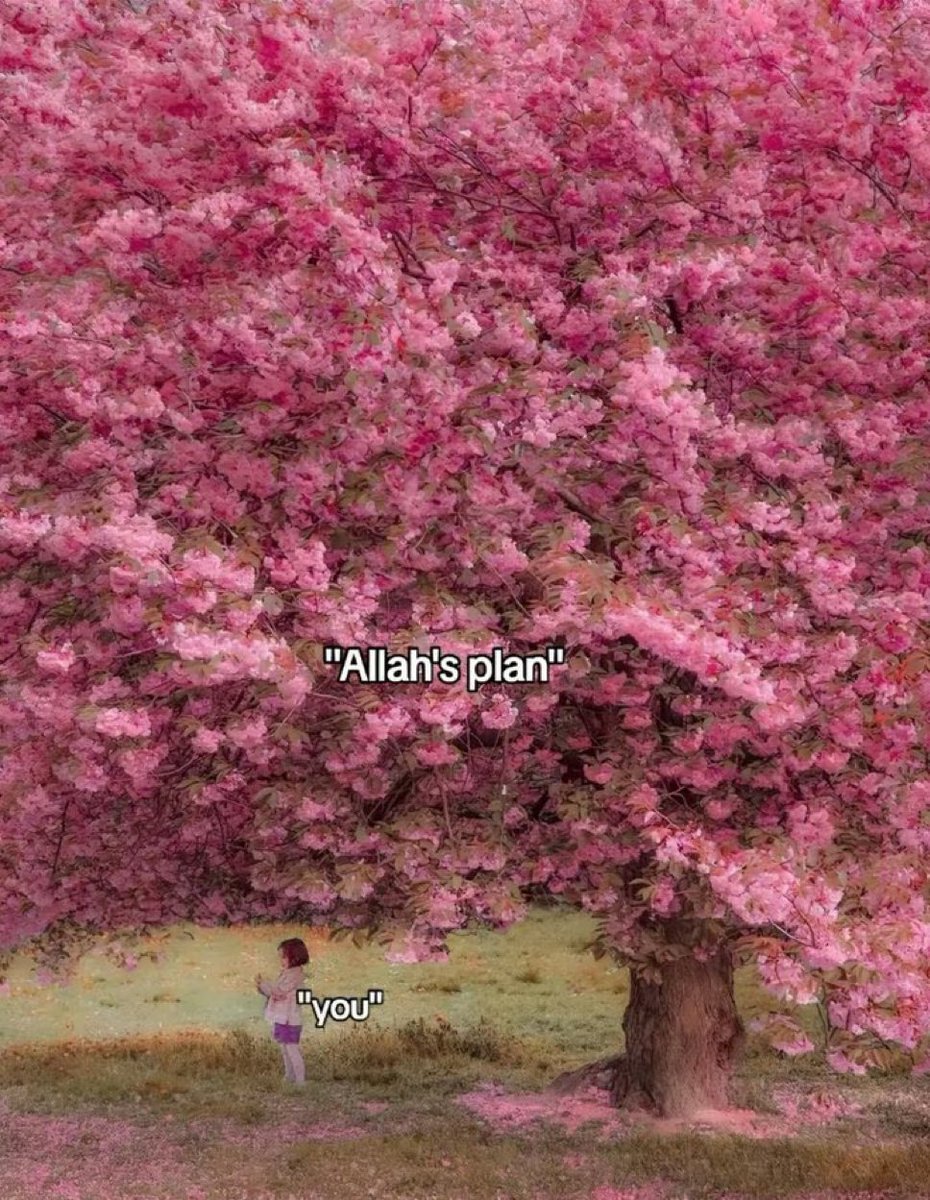 H’s mom tweet media