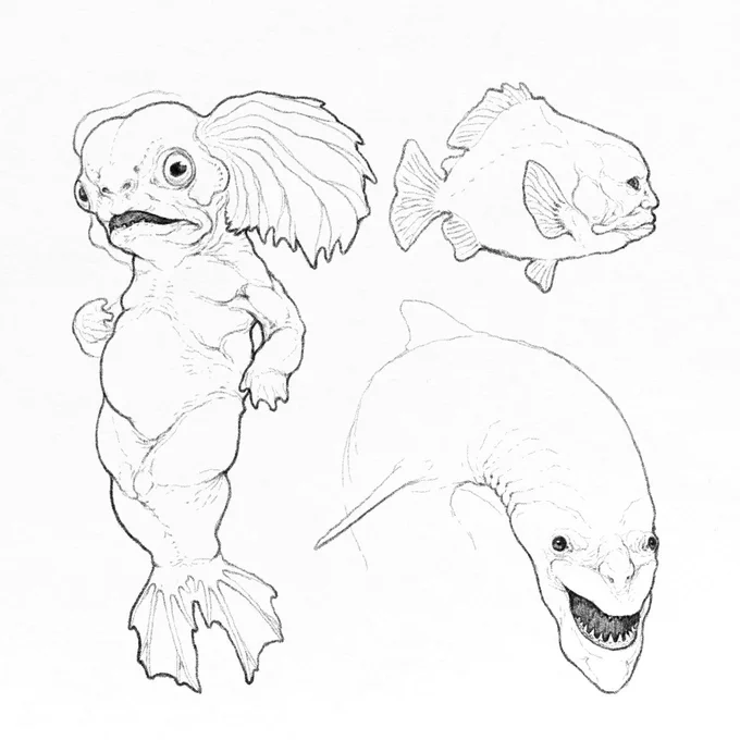 人魚 スケッチ 